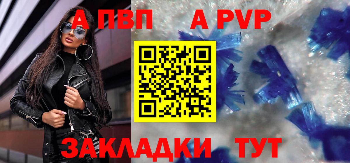 A PVP СК КРИС Губкин