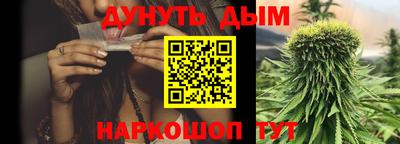 не бодяженный Гай