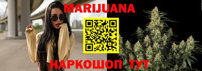 прущие крисы Гатчина