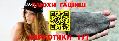 не бодяженный Гай
