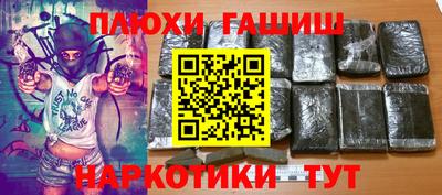 прущие крисы Гатчина
