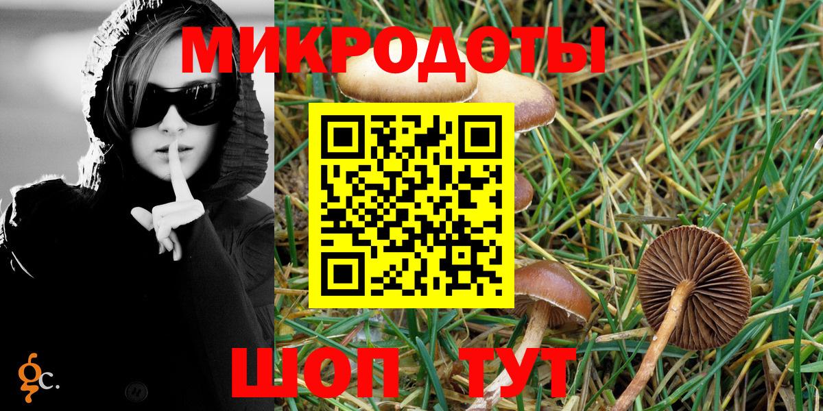 Галлюциногенные грибы Psilocybe Губкин